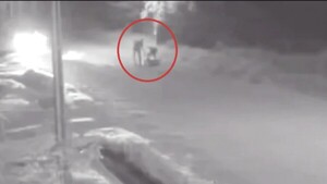 Bolt asesinado preparaba el cumple de su hijita
