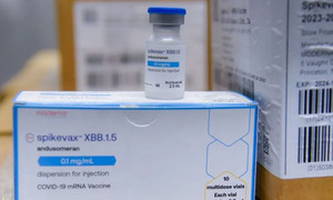 Vacunas contra el Covid-19 actualizadas fueron recibidos por salud  y se priorizarán grupos de riesgo