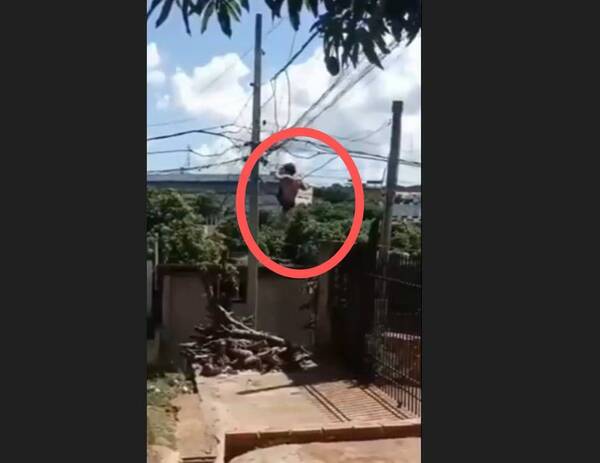 [VIDEO] "Fuera de este barrio, en el nombre de Jesucristo": doña oró y reprendió a "robacables"