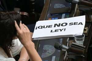 Congreso argentino debate hoy detalle a detalle las reformas de Milei - Mundo - ABC Color