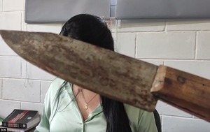 Enero cerró con más de 200 denuncias de violencia doméstica, solo en CDE