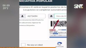 Iniciativa ciudadana para decir ''Chau nepotismo'' - SNT