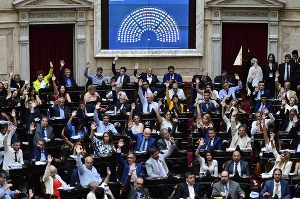 La "ley 贸mnibus" impulsada por Milei, es aprobada en general en el Congreso de Argentina - Revista PLUS
