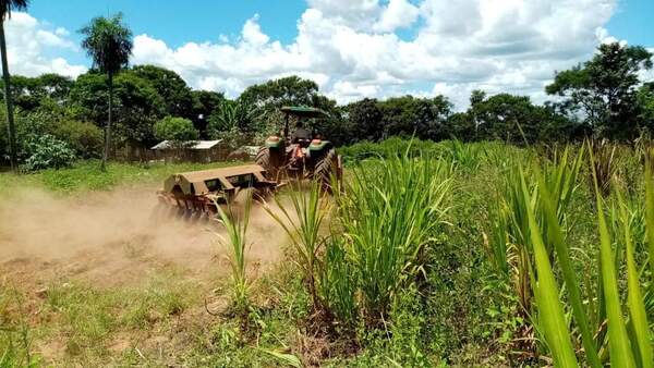 Asisten a productores con preparación de suelo en Nueva Alborada