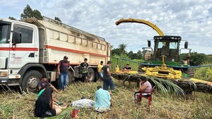 Niño falleció en terrible accidente con máquina forrajera