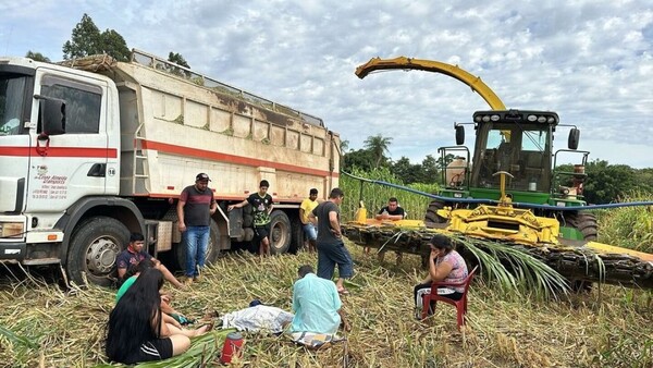 Niño falleció en terrible accidente con máquina forrajera