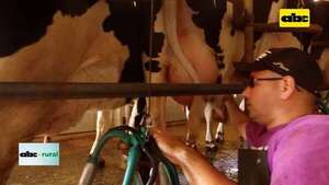Video: FAO destaca que se producen alimentos en el mismo espacio - ABC Rural - ABC Color