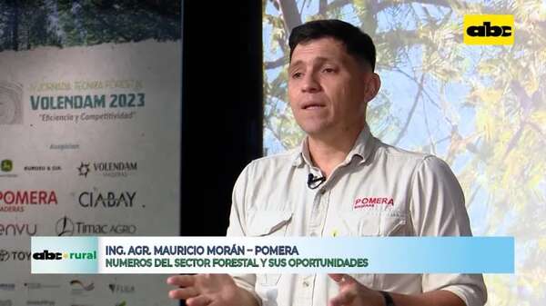 Video: cultivos forestales y su potencial como madera natural y tratada - ABC Rural - ABC Color