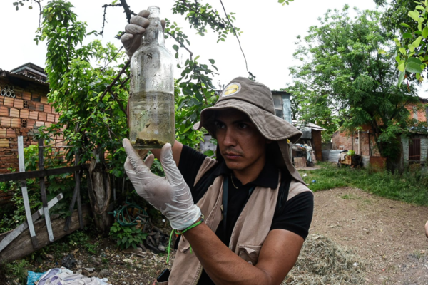 Dengue avanza a pasos agigantados: más de 117 mil casos notificados desde inicio del período epidémico - Megacadena - Diario Digital