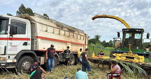 La Nación / Niño de 6 años muere arrollado por un tractor