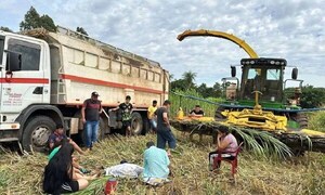 Niño de 6 años muere arrollado por un tractor en Caaguazú – Prensa 5