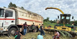 Niño muere arrollado por un tractor en J. Eulogio Estigarribia - Noticiero Paraguay