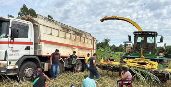 Niño muere arrollado por un tractor en J. Eulogio Estigarribia - Noticiero Paraguay