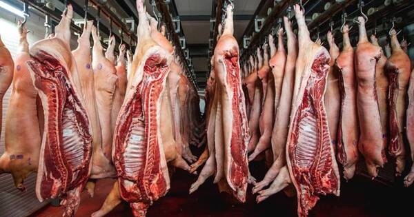 La Nación / Envíos de carne porcina se duplicaron en enero y el principal destino fue Taiwán