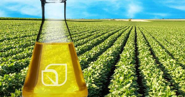 La Nación / Apuntan a triplicar exportaciones de biodiésel