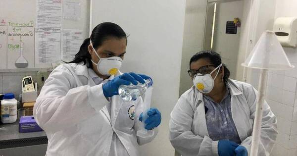 La Nación / Laboratorio de semillas del Senave renovó su acreditación con norma ISO hasta 2026