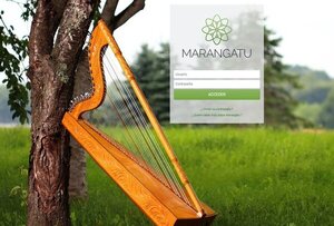 Denuncian que sistema Marangatu es un calvario para los contadores