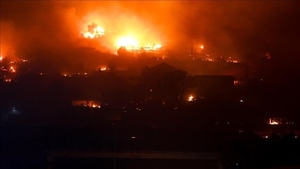 Asciende a 131 la cifra de muertos por incendios forestales en Chile | 1000 Noticias