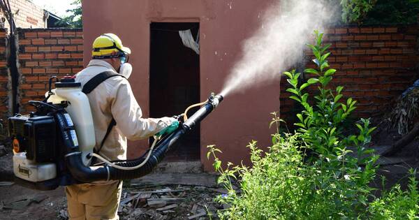 La Nación / Epidemia de dengue golpea en Argentina, Brasil y Paraguay