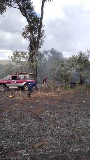 Incendio arrasa con bosque y cultivo de soja en Edelira Km. 40
