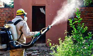 Epidemia de dengue golpea en Argentina, Brasil y Paraguay – Prensa 5