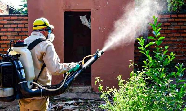 Epidemia de dengue golpea en Argentina, Brasil y Paraguay – Prensa 5