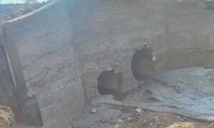 Niño está en Terapia Intensiva tras caerle encima un bloque de cemento en Itapúa – Prensa 5