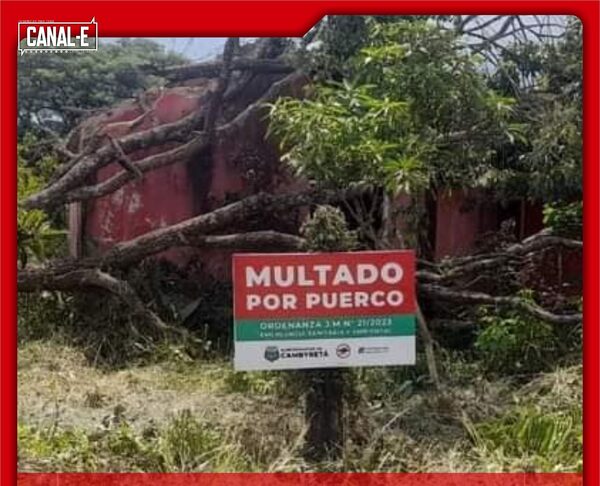 ¡MULTADO POR PUERCO! MUNICIPALIDAD DE CAMBYRETA VA CON TODO