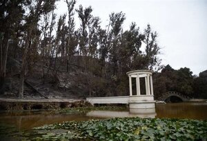 El mayor jardín botánico de Chile respira malherido tras los incendios