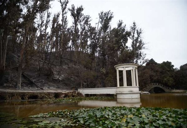 El mayor jardín botánico de Chile respira malherido tras los incendios