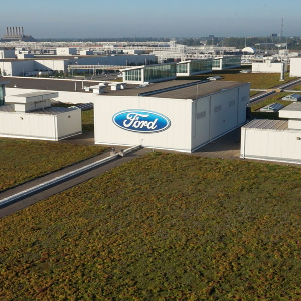 Ford tuvo unos beneficios de 4.329 millones de d贸lares en 2023 tras las p茅rdidas de 2022 - Revista PLUS