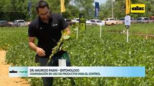 Video: comparación de uso de productos para el control Trips - ABC Rural - ABC Color