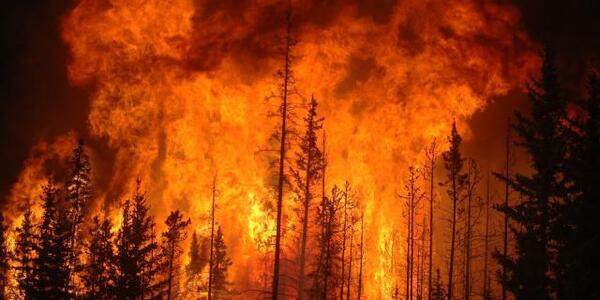 Chile: Valparaíso contabiliza al menos 131 muertos por incendios - ADN Digital