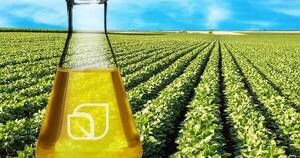 La Nación / Apuntan a triplicar las exportaciones de biodiésel