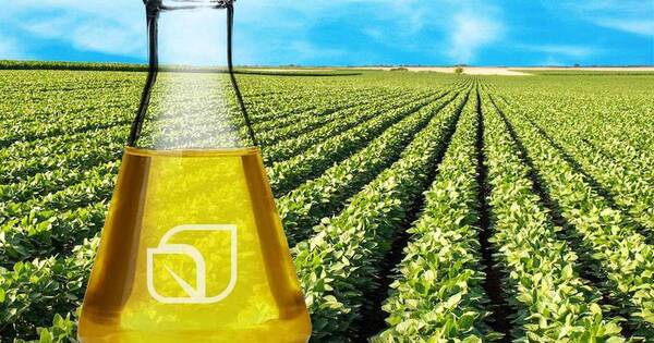 La Nación / Apuntan a triplicar las exportaciones de biodiésel