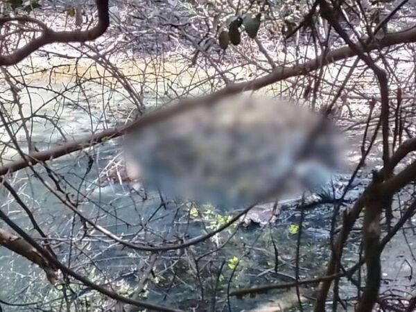 Hallan restos óseos en arroyo de Luque: pertenecerían a adulto mayor desaparecido