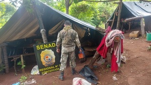 SENAD destruyó campamentos y 21 toneladas de marihuana en Concepción