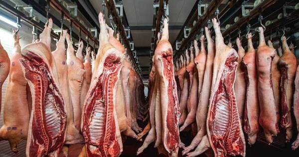 La Nación / Envíos de carne porcina se duplicaron en enero