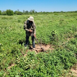 Ruta de la Leche: Continúa el cuidado y mantenimiento de plantines