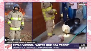 Especialista afirma que es clave extremar medidas en plantas grandes como Oschi - Megacadena - Diario Digital
