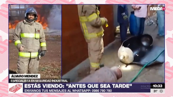 Especialista afirma que es clave extremar medidas en plantas grandes como Oschi - Megacadena - Diario Digital