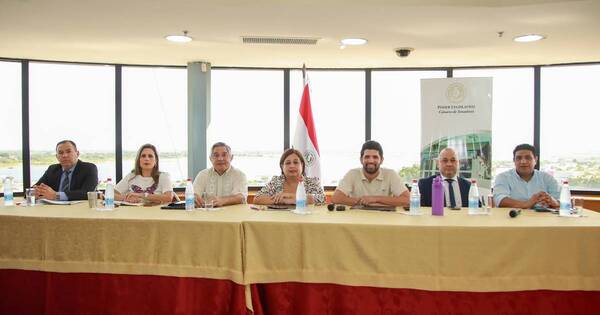 La Nación / Ejecutivo debe blindar programas financiados por Fonacide y royalties, afirman senadores