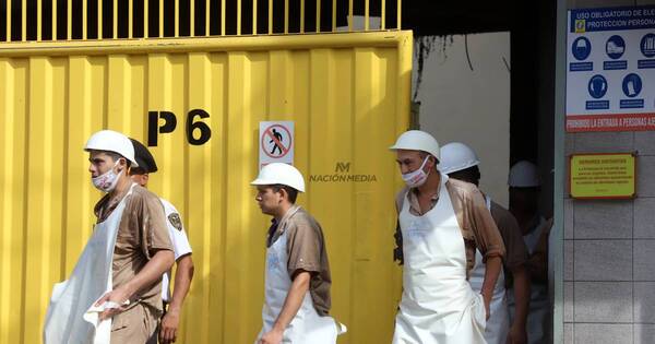 La Nación / Fiscalía busca determinar causas de la tragedia en fábrica de embutidos