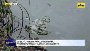 Video: arroyo Mburicaó contaminado - ABC Noticias - ABC Color