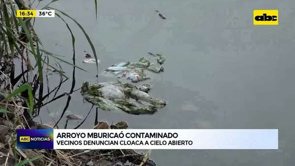 Video: arroyo Mburicaó contaminado - ABC Noticias - ABC Color