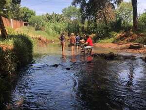 Pobladores denuncian contaminación de un arroyo de Ciudad del Este - ABC en el Este - ABC Color