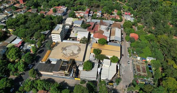 La Nación / Senacsa suspende temporalmente la habilitación de la firma Novex