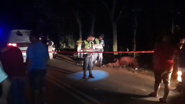 Joven motociclista muere tras chocar contra una vaca en Itá - Unicanal