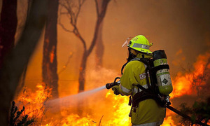 En  Paraguarí incendios forestales azotan y bomberos ya no saben cómo pedir conciencia