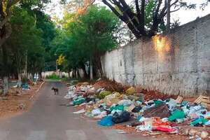 Minivertedero en zona escolar de Lambaré - Nacionales - ABC Color